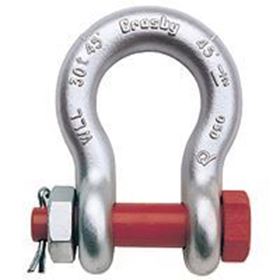 Picture for category G 2140 Shackles