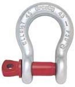 Picture for category G 209 Shackles
