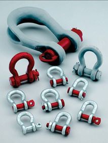 Picture for category Shackles